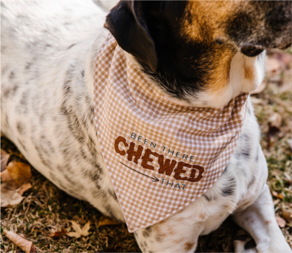 Playful Pet Kerchiefs Kimberbell