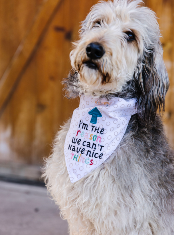 Playful Pet Kerchiefs Kimberbell